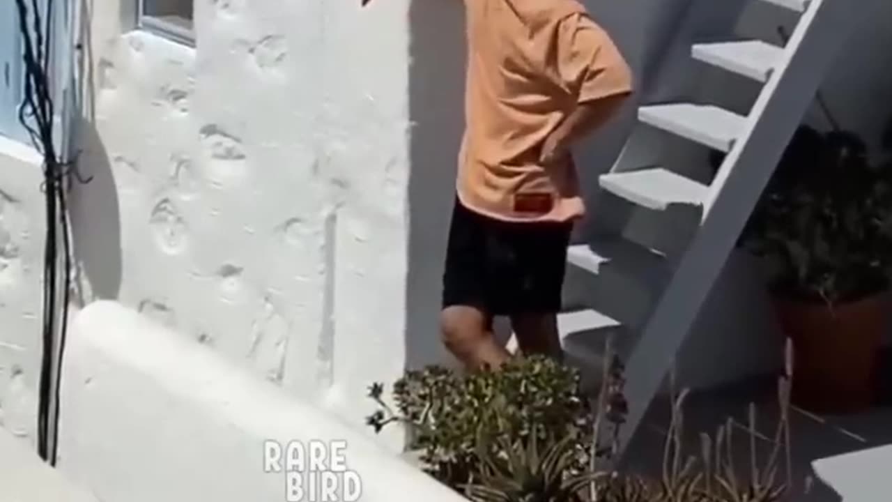 All the people respect