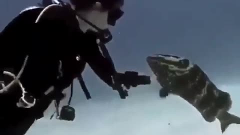 This is a beautiful and charming water-dwelling species