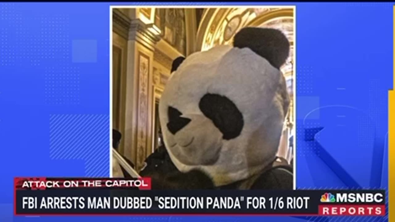 Sedition Panda? | Check Description