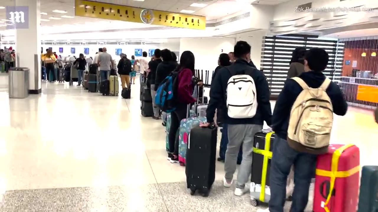 Computer glitch sees TWELVE THOUSAND scheduled American Airlines flights left without pilots