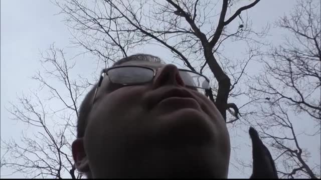 Off Grid Solar Voltage