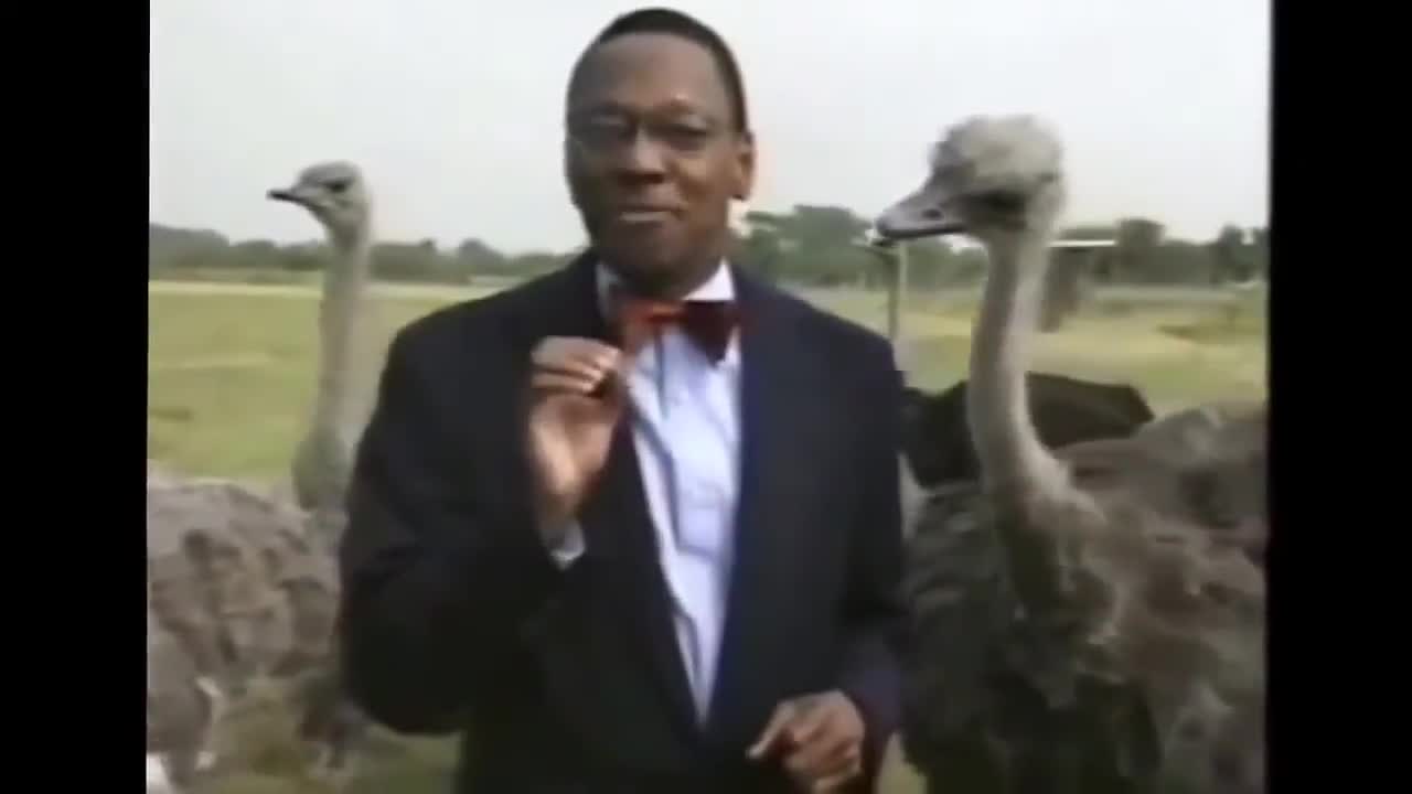 Funny animals:)