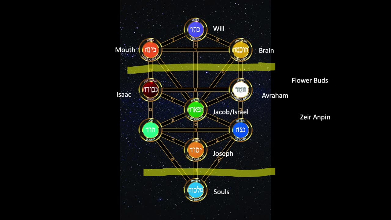 051 - The Zohar A to B – Verses 6 Study Torah