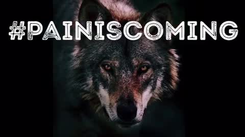 Pain Coming 🔥