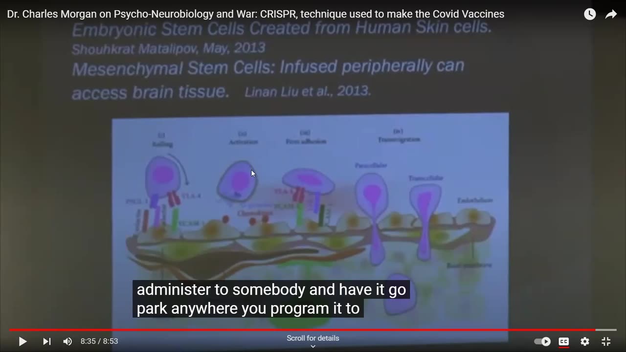 Dr. Charles Morgan on Psycho-Neurobiology and War: The DREADDS Program