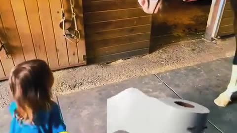 Children and animals funny 2024 | baby and cat enjoy | Best video cat and baby