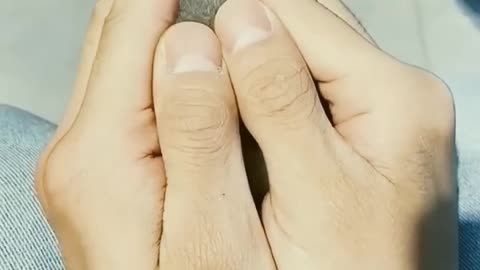 Cat in hand