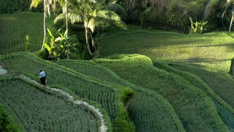 the natural beauty of the countryside and the atmosphere of Indonesian wisdom