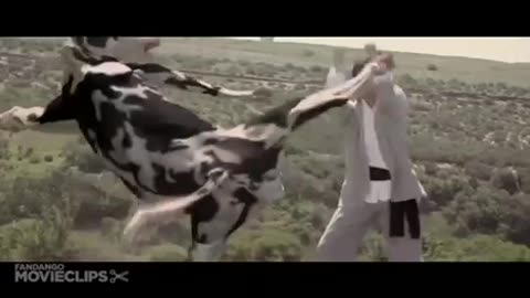 Fighting with cow 🐄🤠