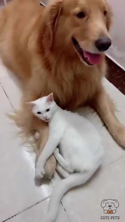 Do not approach my friend