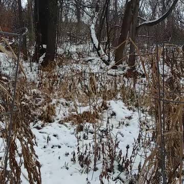 Psalm 19 Revised Standard The law of the Lord is perfect