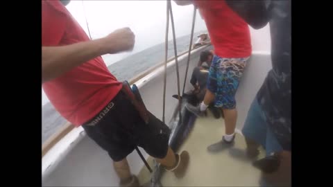 Tomahawk Overnight fishing trip! Striped Marlin fishing!