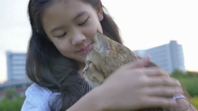 Slow motion of lovely Asian girl plays with her Persian cat in the park