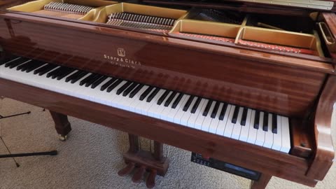 One thing to look for when you buy a piano.