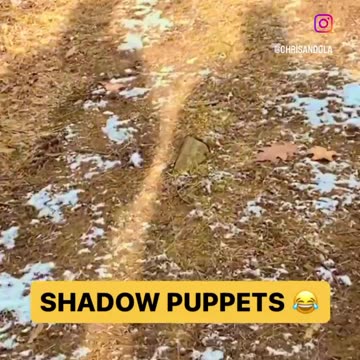 FUN WITH OUR SHADOWS