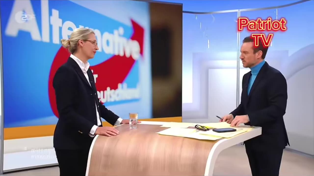 Alice Weidel (AfD) im ARD-Interview vom 07.11.204