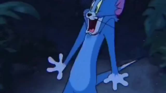 Tom And Jerry Funny Video