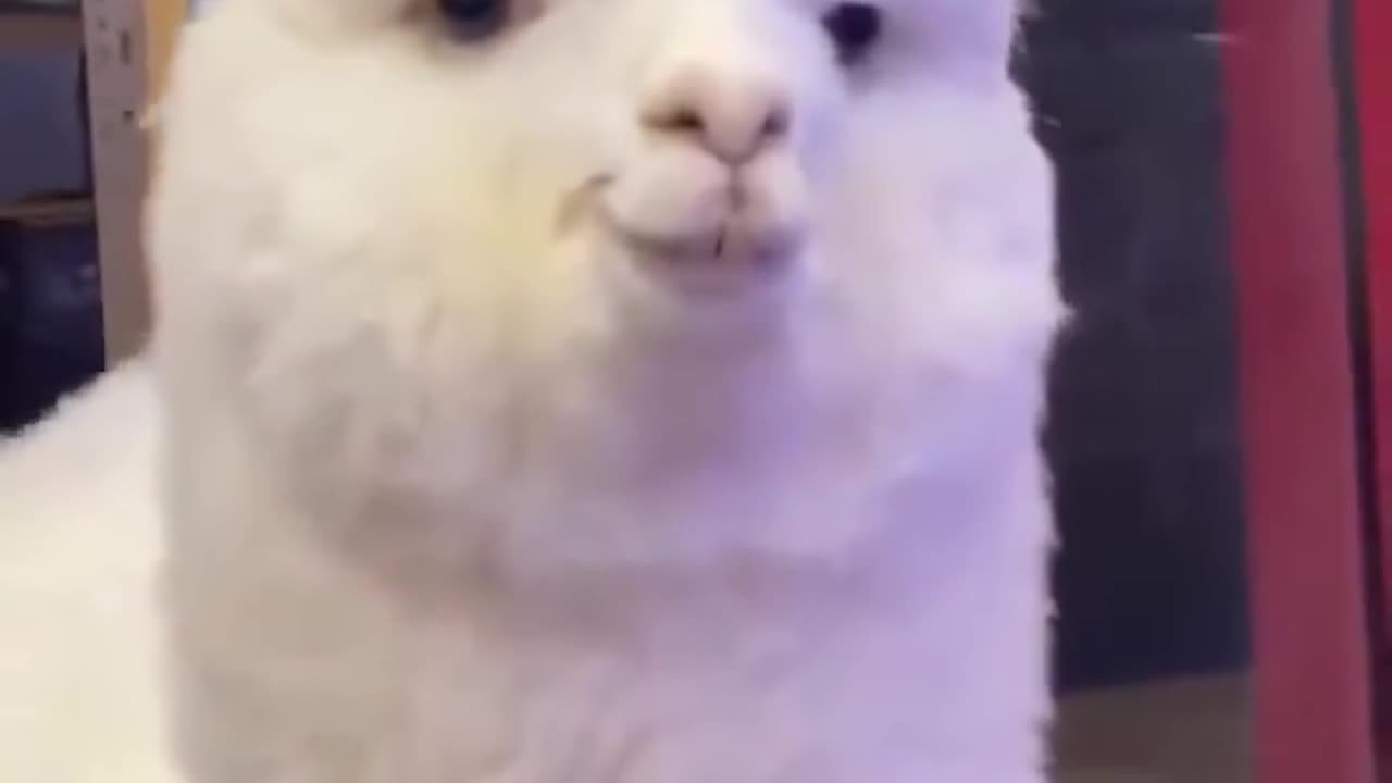 When you meet the eyes of a girl you like