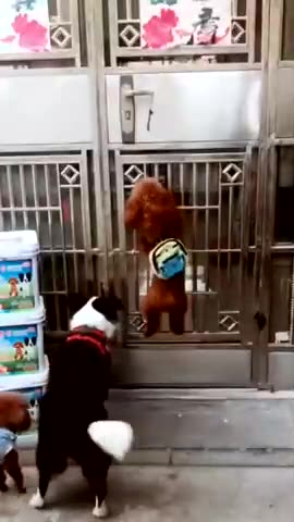 420's CLIP OF THE DAY May 28, 2024