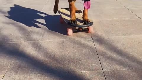 Skate Dog