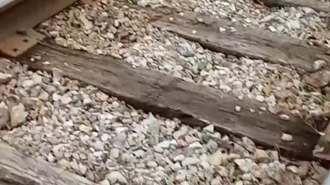 More pathetic examples of Ohio railways that our politicians said would be fixed.