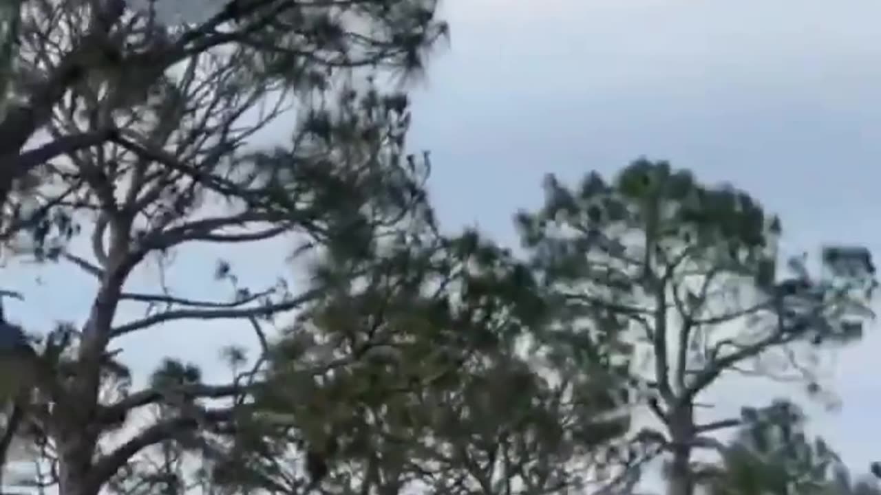 fun:The reason why women live longer than men