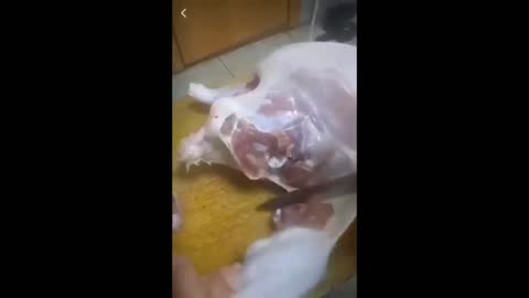 Chicken Vaccine Side Effects