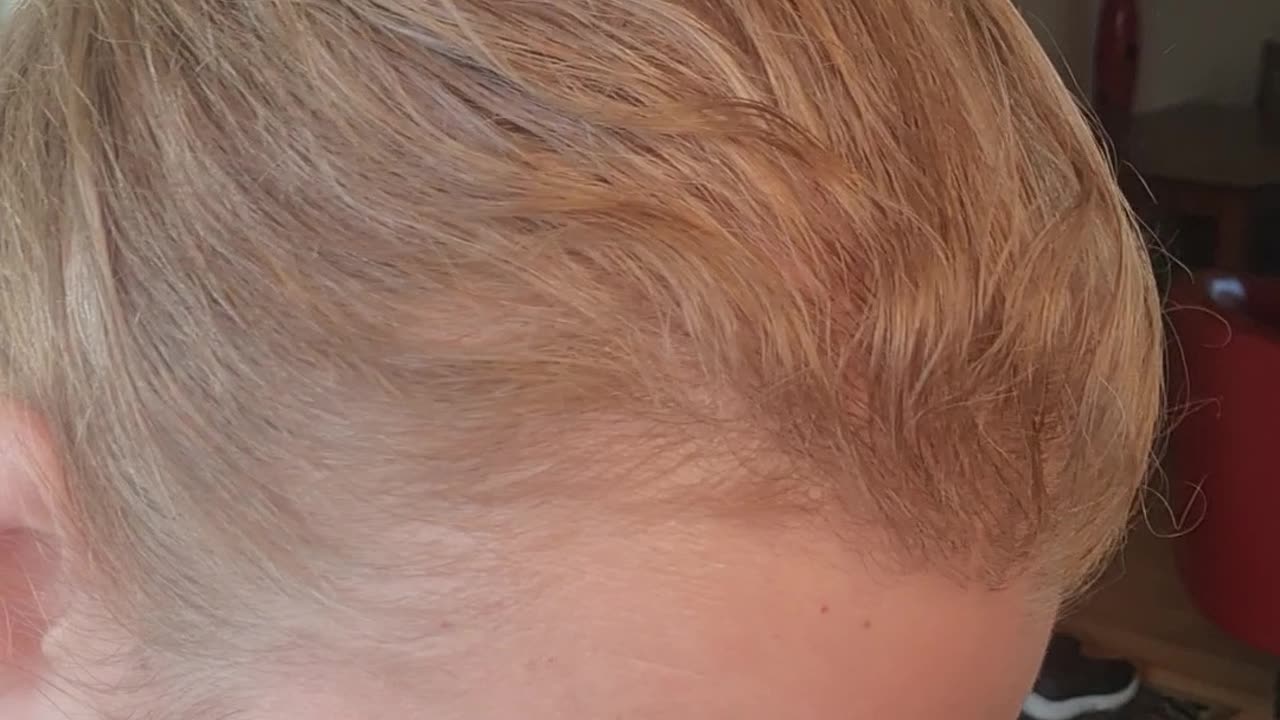 Creating blends for the new moon