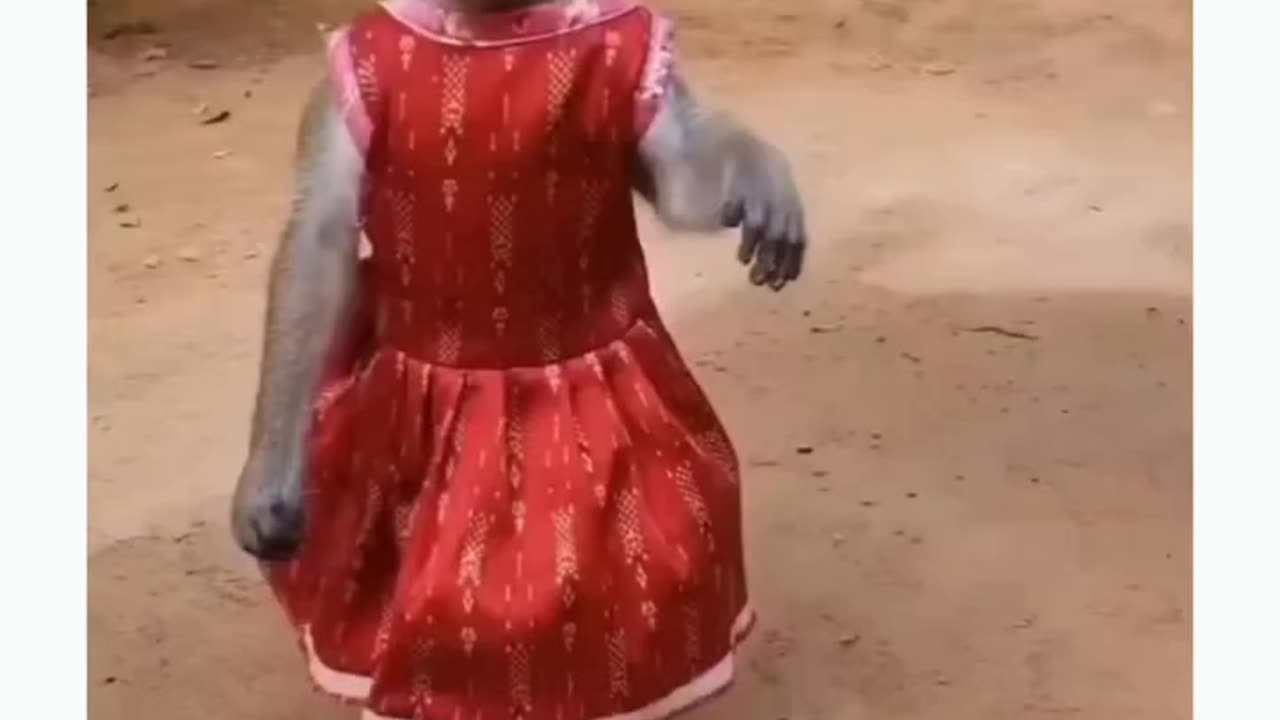 it's funny clipπππ