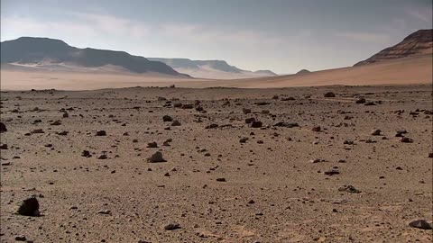 What if we covered the sahara with solar panels