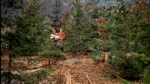 Doe Goldene Gans - DEFA Märchen Film