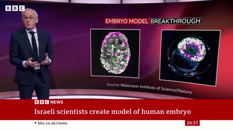 Scientists grow whole model of human embryo without sperm or egg BBC News_