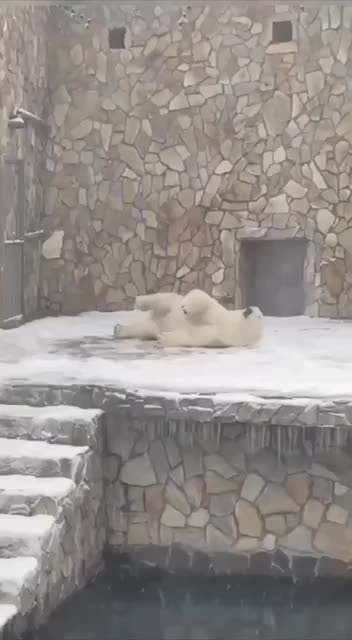 Someone is going to miss the snow soon