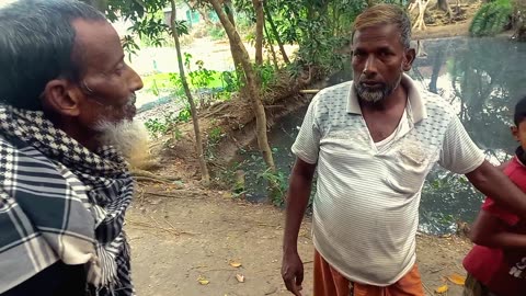 গ্রামে পাহাড়ি আনারস বিক্রি হচ্ছে || Pahari pineapples are being sold in the village