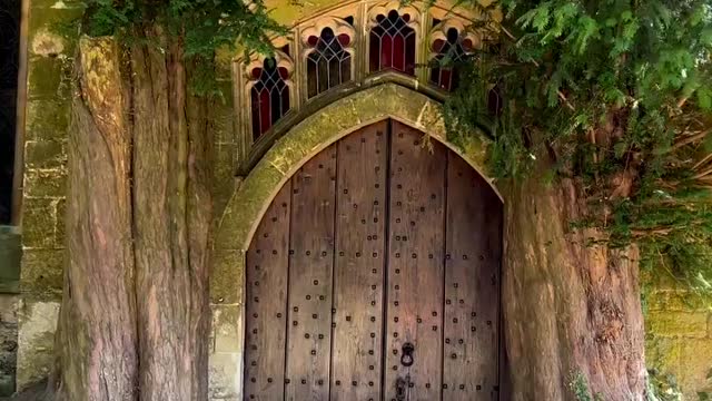 as a child, we all dreamed of such a thing.😍