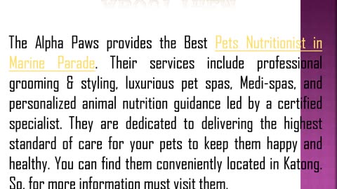 The Best Pet Grooming in Marine Parade