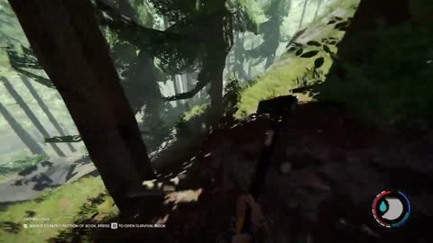 Let's Play The Forest ft. Skarrzhya Part 4