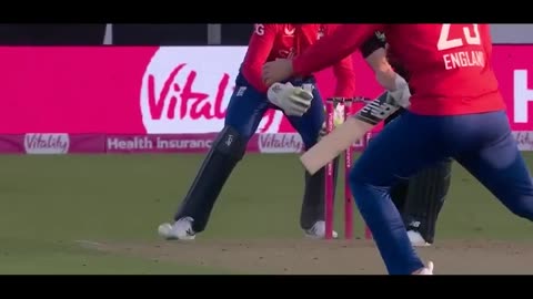 Funny cricket