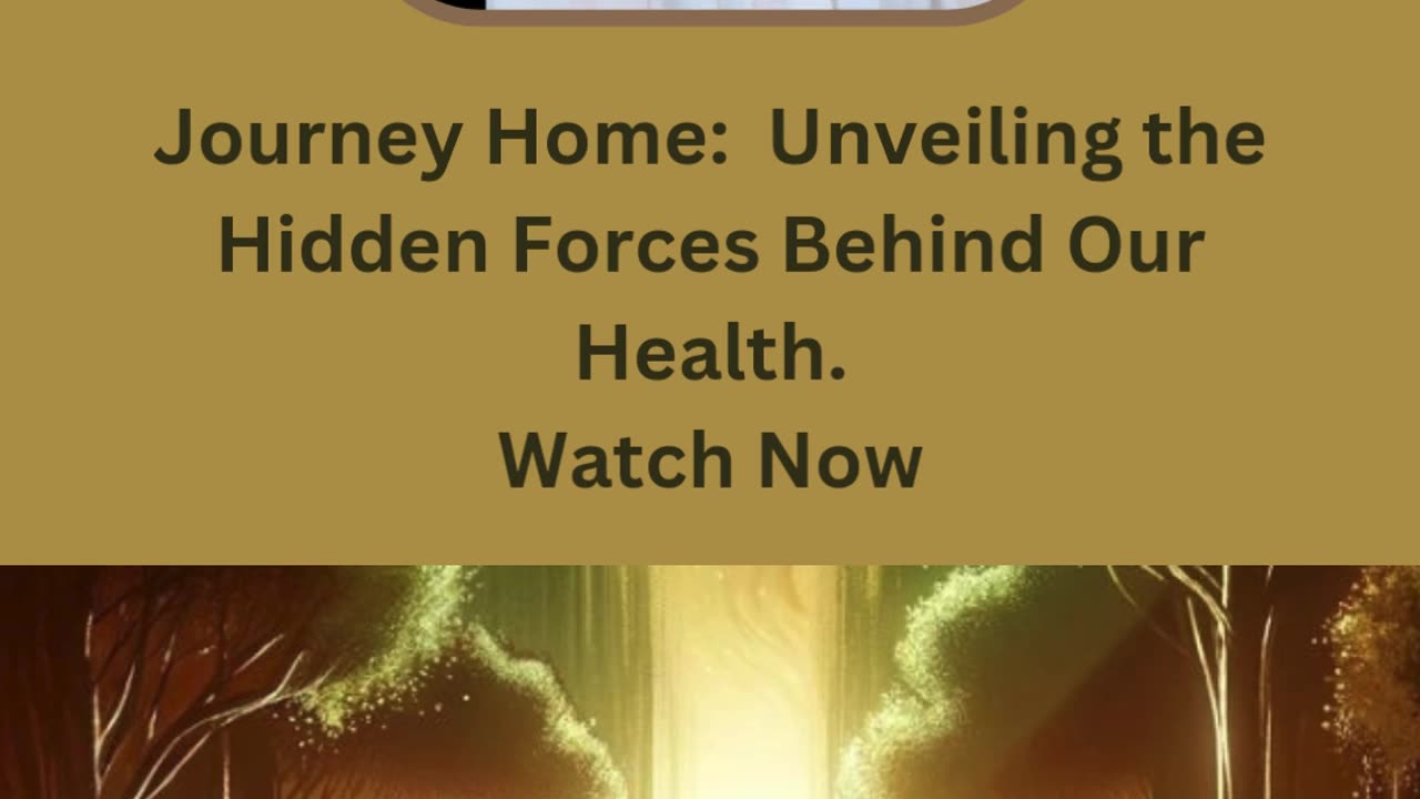 The Journey Home: Unveiling the Hidden Forces Behind Our Health