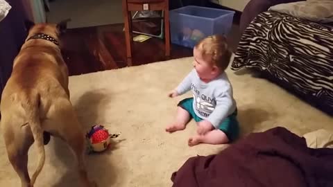 Baby laughing at dog & bubbles