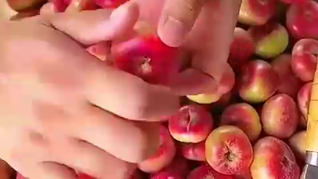 Good morning to the day off and kar dya to be a