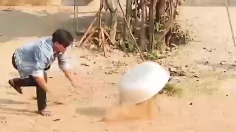 Troll prank Dog funny & fake Lion and fake tiger prank to Dog and huge box prank to Dog
