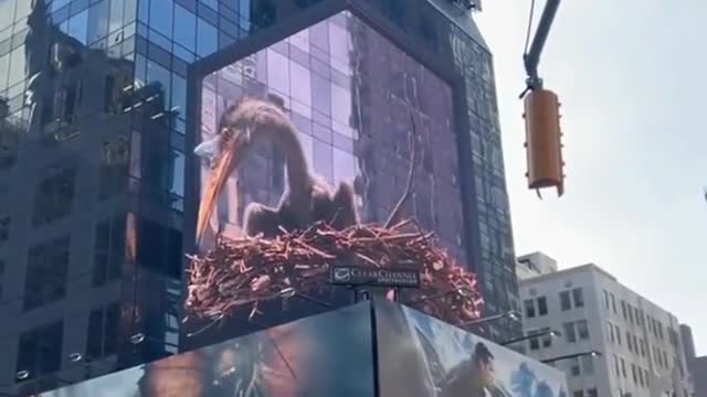 Jurassic park iii's movie warmed up in Times Square in advance.