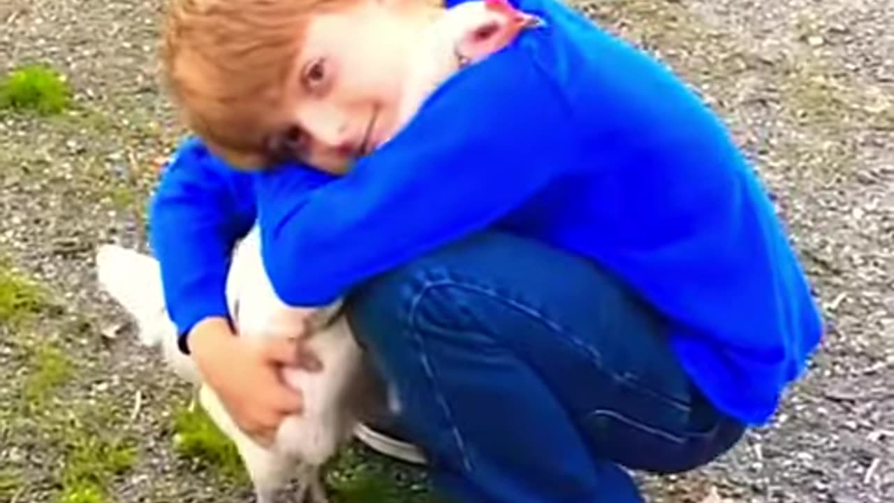 ANIMALS REUNITED WITH OWNERS AFTER YEARS 🥹 caughtoncamera animals shorts