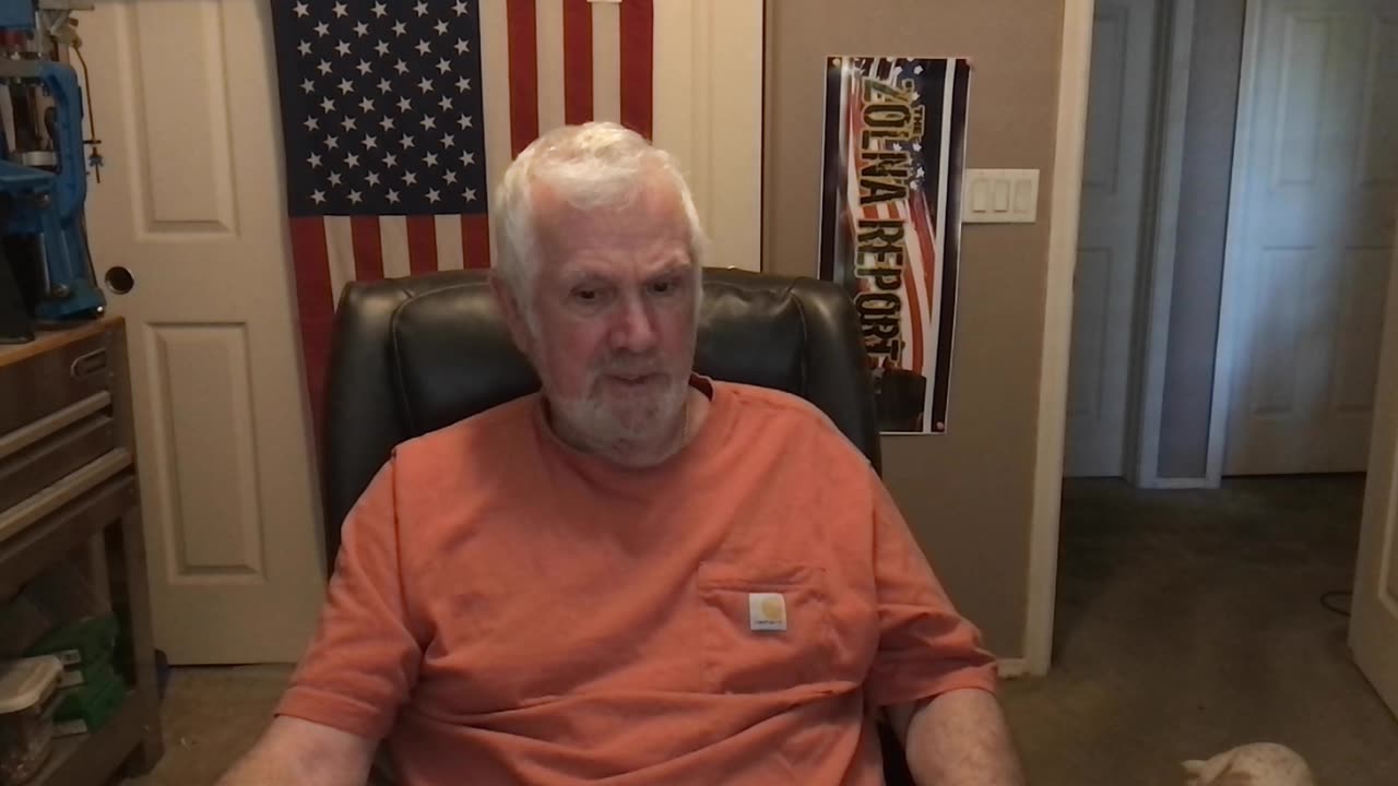 Kamala Harris Is Not Black, She Is If Anything Brown!