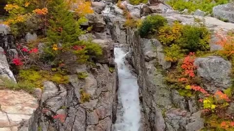 Beauty of Fall
