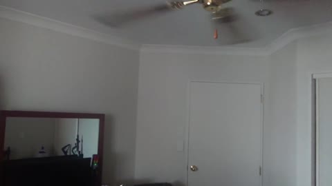 Fan Experiment how much EMF is pulsed when turning on using New Ghost EMF Meter - The Out There Chan