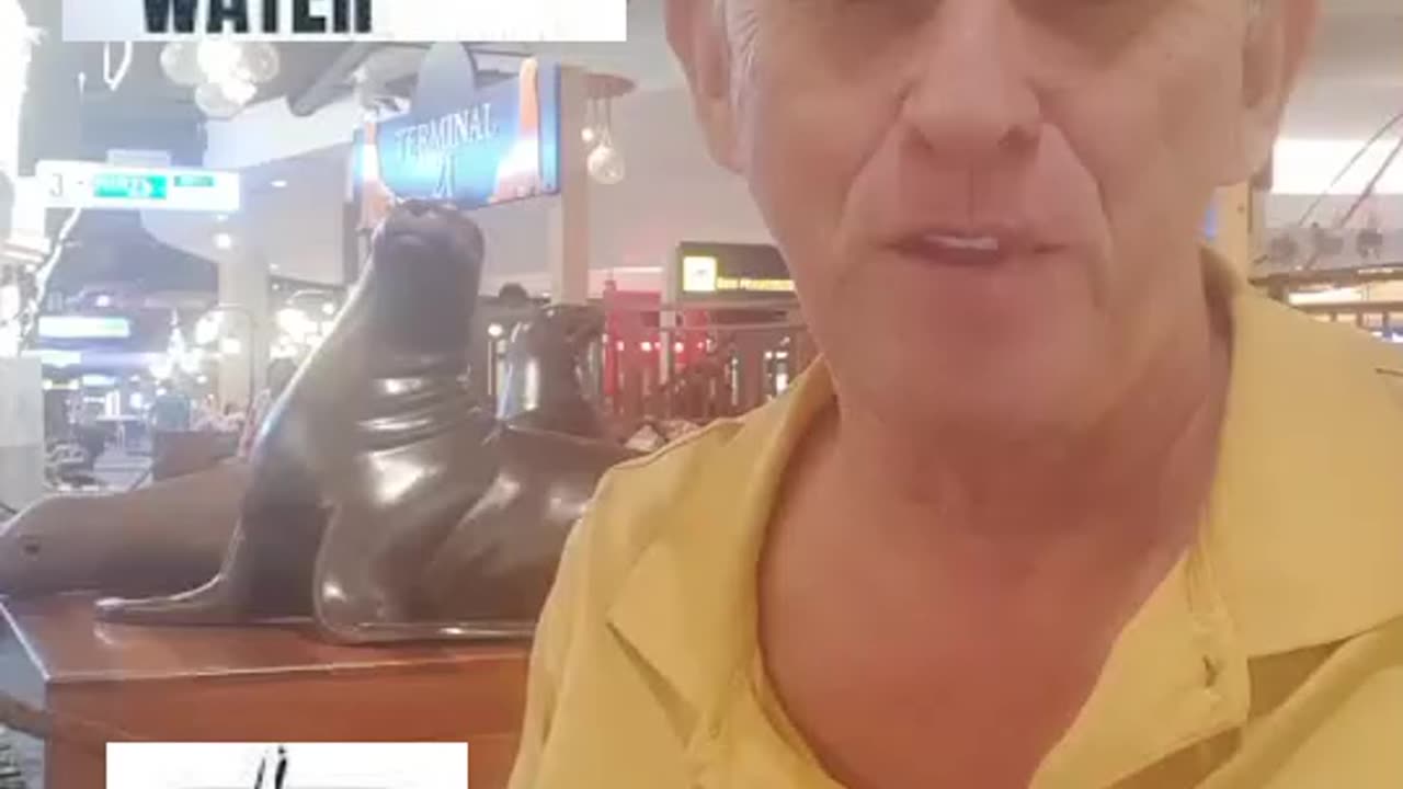 3 Reasons why you should drink water