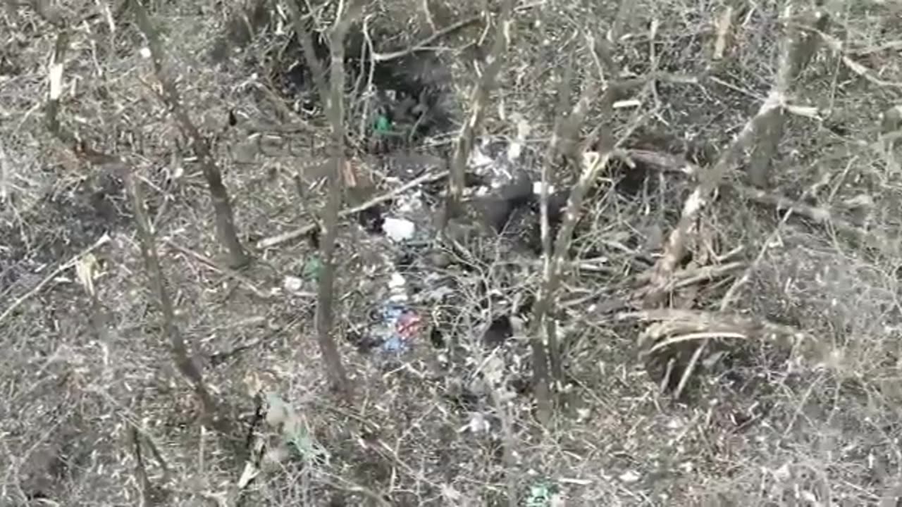 +18 Disturbing Video showing dead and wounded