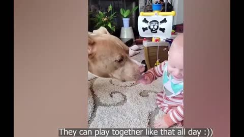 Cutest and Funniest Baby Moments